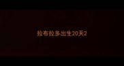 拉布拉多出生20天