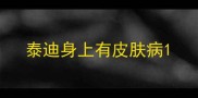泰迪身上有皮肤病