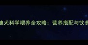 2岁泰迪犬科学喂养全攻略营养搭配与饮食禁忌