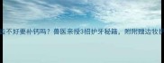 边牧牙齿不好要补钙吗兽医亲授3招护牙秘籍附附赠边牧护牙食谱