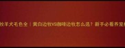 边境牧羊犬毛色全黄白边牧VS咖啡边牧怎么选新手必看养宠指南