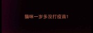猫咪一岁多没打疫苗