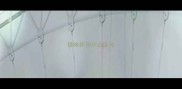 猫咪怀孕什么征兆