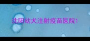 沈阳幼犬注射疫苗医院