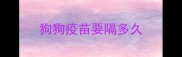 狗狗疫苗要隔多久