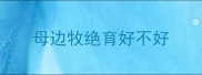 母边牧绝育好不好