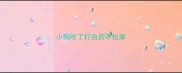 小狗吃了打虫药不拉屎