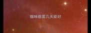 猫咪感冒几天能好