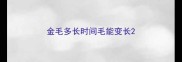 金毛多长时间毛能变长