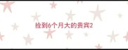 捡到6个月大的贵宾