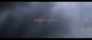泰迪咬掉自己的毛