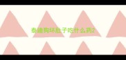 泰迪狗坏肚子吃什么药