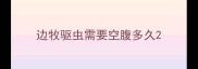 边牧驱虫需要空腹多久