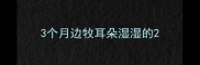 3个月边牧耳朵湿湿的