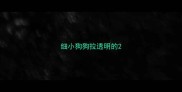 细小狗狗拉透明的