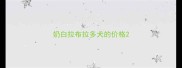 奶白拉布拉多犬的价格