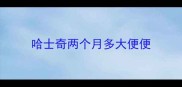 哈士奇两个月多大便便