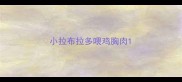 小拉布拉多喂鸡胸肉