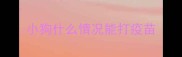 小狗什么情况能打疫苗