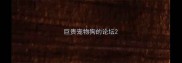 巨贵宠物狗的论坛