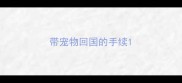 带宠物回国的手续