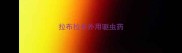拉布拉多外用驱虫药