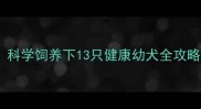 拉布拉多繁殖记录科学饲养下13只健康幼犬全攻略附新手必看清单