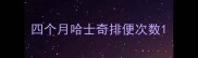 四个月哈士奇排便次数