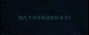 狗几个月补钙边牧补多少