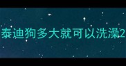 泰迪狗多大就可以洗澡
