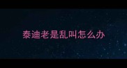 泰迪老是乱叫怎么办