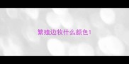 繁殖边牧什么颜色