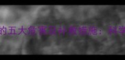 边牧没打疫苗的五大危害及补救措施科学养宠必读指南