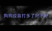 狗狗疫苗打多了好不好
