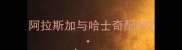 阿拉斯加与哈士奇配种