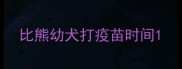比熊幼犬打疫苗时间