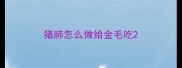猪肺怎么做给金毛吃