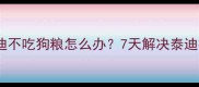 四个月泰迪不吃狗粮怎么办7天解决泰迪挑食难题
