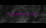 棕色边牧和陨石边牧