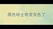 黑色哈士奇变灰色了