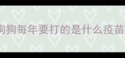 狗狗每年要打的是什么疫苗