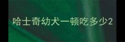 哈士奇幼犬一顿吃多少