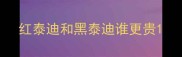 红泰迪和黑泰迪谁更贵