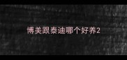 博美跟泰迪哪个好养
