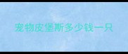 宠物皮堡斯多少钱一只