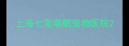 上海七宝瑞鹏宠物医院