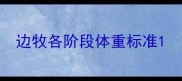 边牧各阶段体重标准