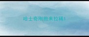 哈士奇刚抱来拉稀