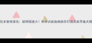 拉布拉多智商排名聪明程度大科学训练指南助你打造完美导盲犬搜救犬