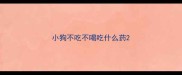 小狗不吃不喝吃什么药